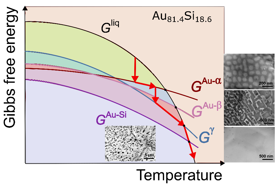 Au–Si eutectic alloy with four melting temperatures – Metal Physics and ...