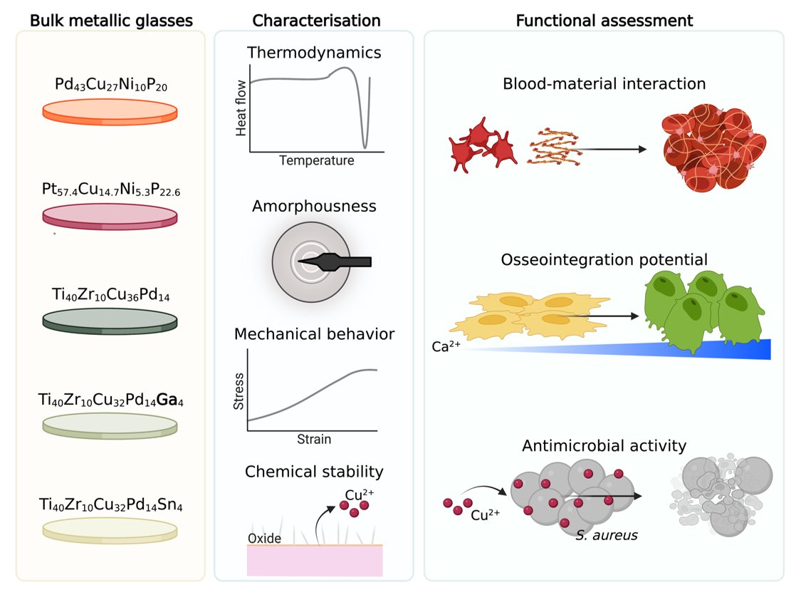 Enlarged view: Biomedical properties and other characteristics of bulk metallic glasses.